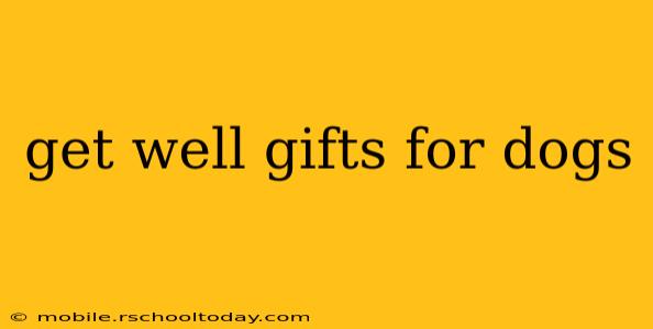 get well gifts for dogs