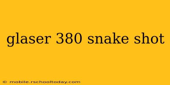glaser 380 snake shot
