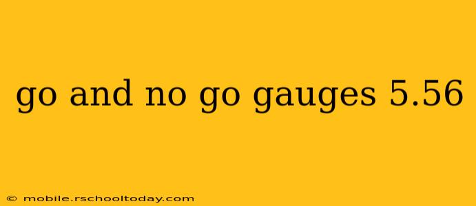 go and no go gauges 5.56