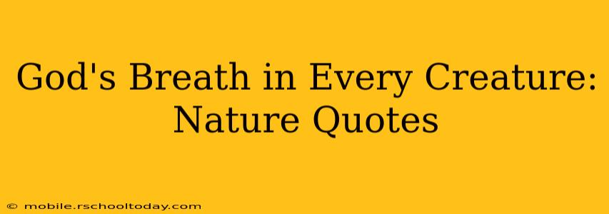 God's Breath in Every Creature: Nature Quotes