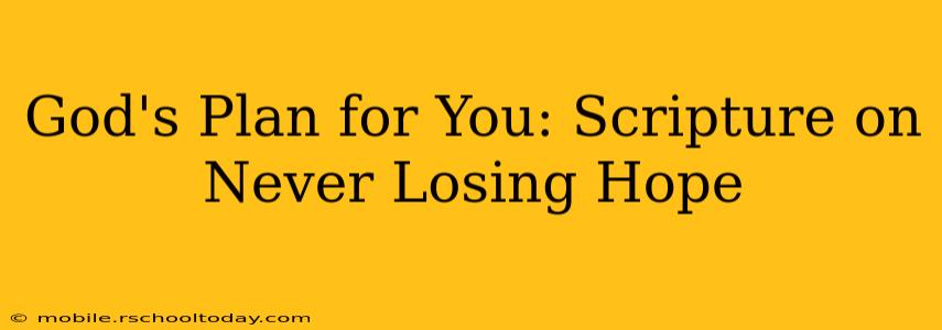 God's Plan for You: Scripture on Never Losing Hope