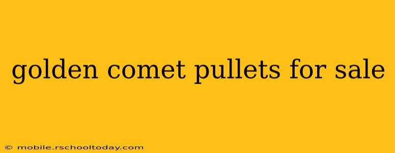 golden comet pullets for sale