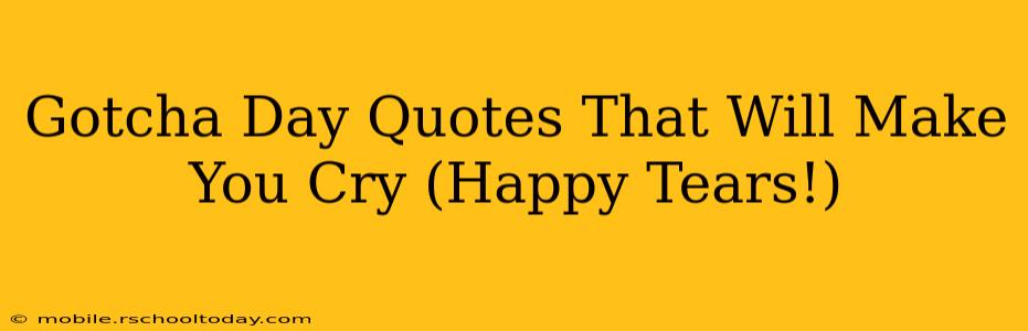Gotcha Day Quotes That Will Make You Cry (Happy Tears!)