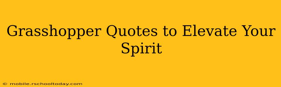 Grasshopper Quotes to Elevate Your Spirit