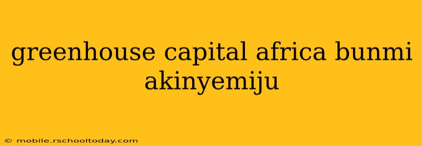 greenhouse capital africa bunmi akinyemiju