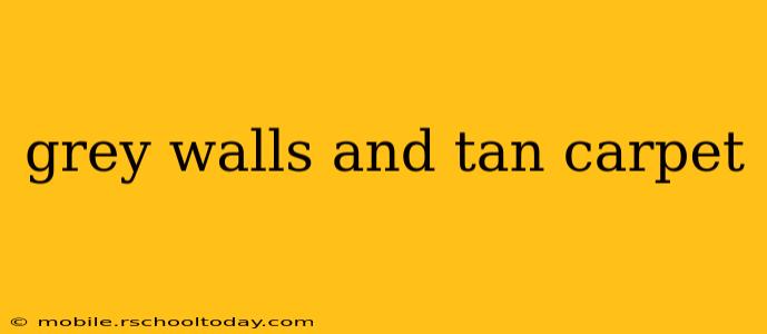 grey walls and tan carpet