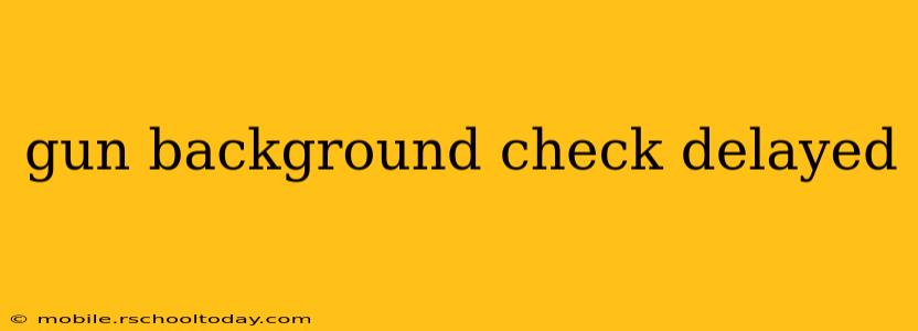 gun background check delayed