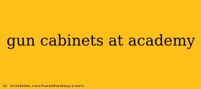 gun cabinets at academy