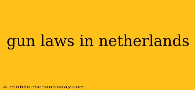 gun laws in netherlands