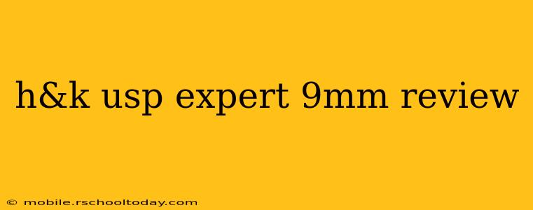 h&k usp expert 9mm review