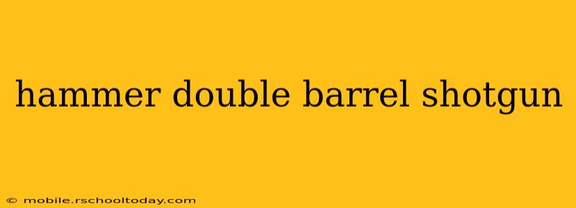 hammer double barrel shotgun
