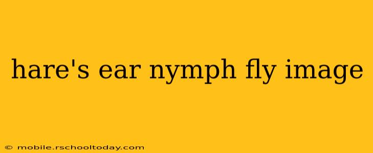 hare's ear nymph fly image