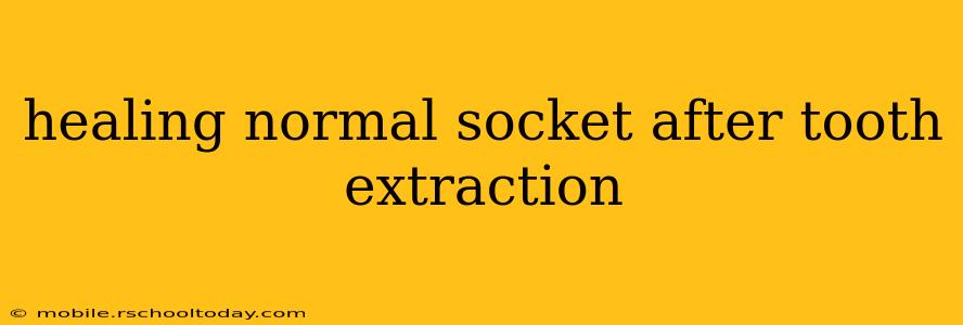 healing normal socket after tooth extraction