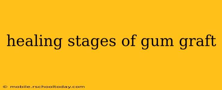 healing stages of gum graft