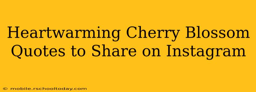 Heartwarming Cherry Blossom Quotes to Share on Instagram