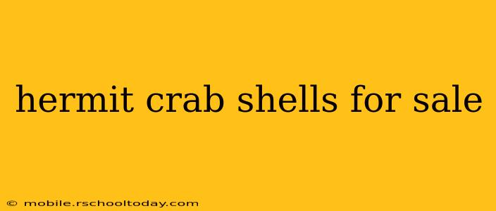 hermit crab shells for sale