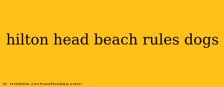 hilton head beach rules dogs