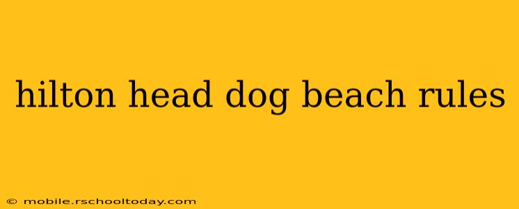 hilton head dog beach rules