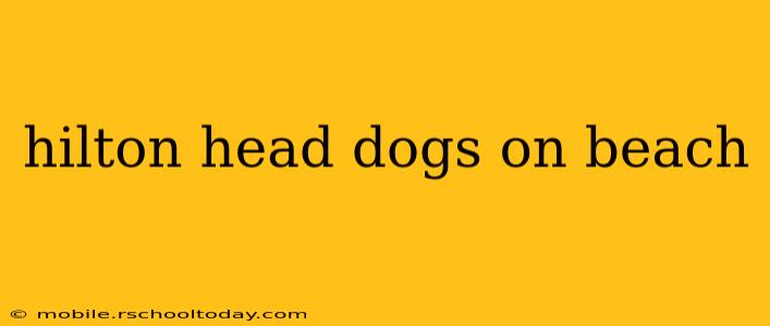 hilton head dogs on beach