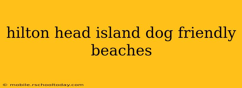 hilton head island dog friendly beaches