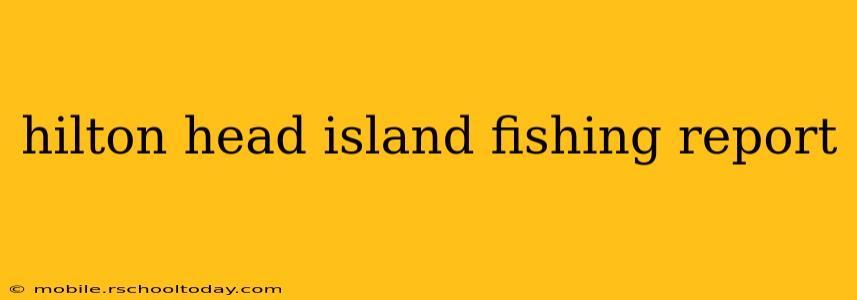 hilton head island fishing report