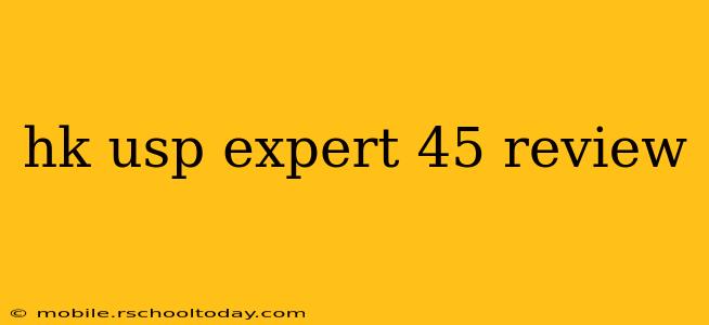 hk usp expert 45 review
