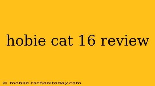 hobie cat 16 review