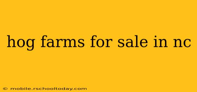 hog farms for sale in nc