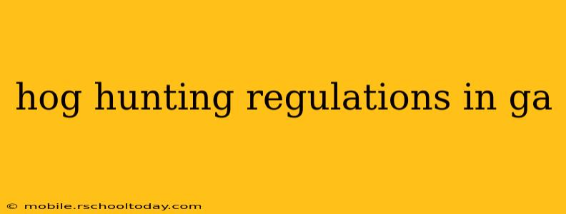 hog hunting regulations in ga