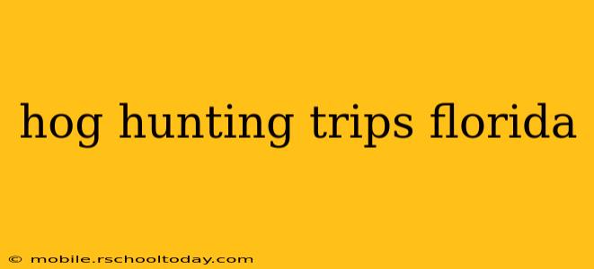hog hunting trips florida
