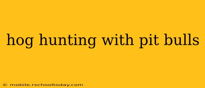 hog hunting with pit bulls