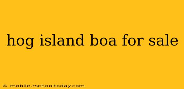 hog island boa for sale
