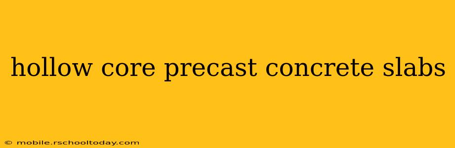 hollow core precast concrete slabs