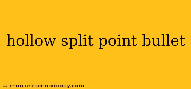 hollow split point bullet