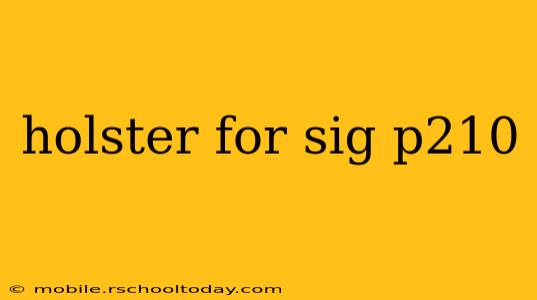 holster for sig p210