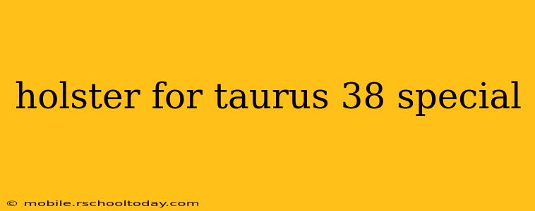 holster for taurus 38 special