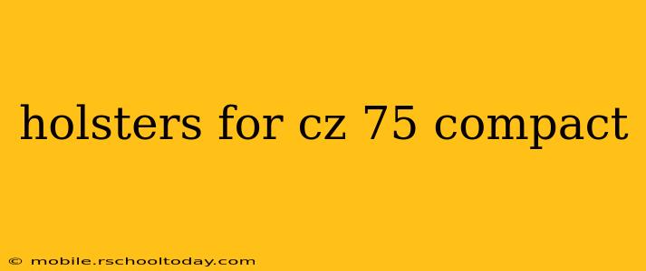 holsters for cz 75 compact
