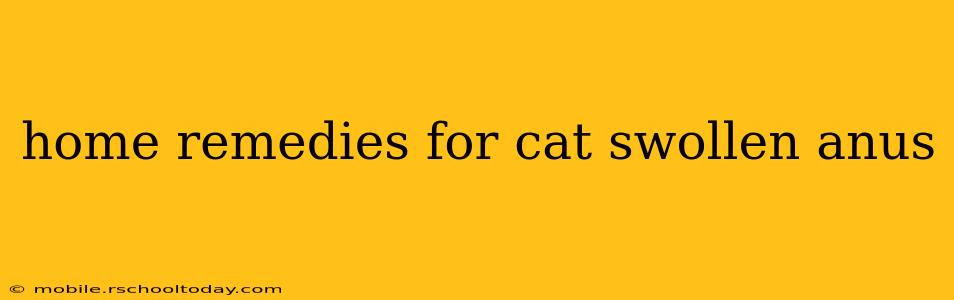 home remedies for cat swollen anus