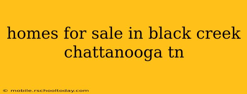 homes for sale in black creek chattanooga tn