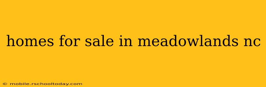 homes for sale in meadowlands nc
