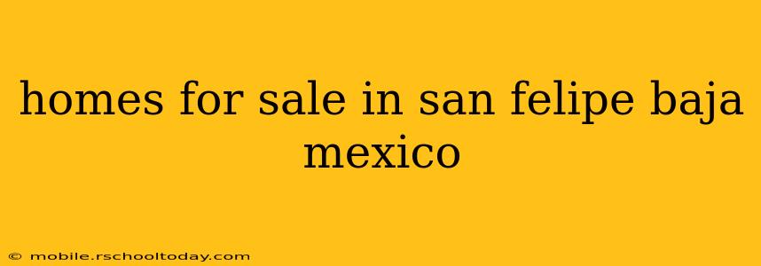 homes for sale in san felipe baja mexico