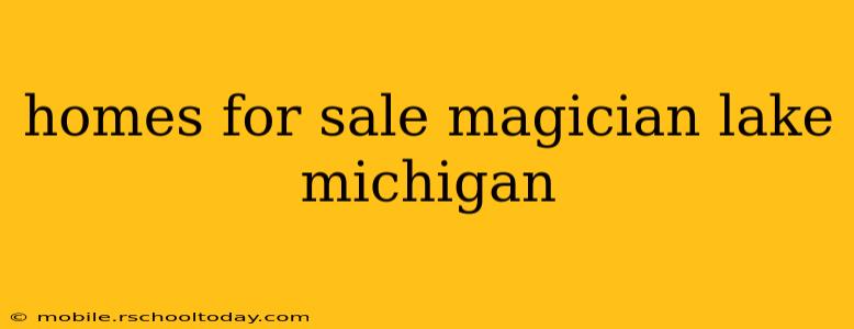 homes for sale magician lake michigan