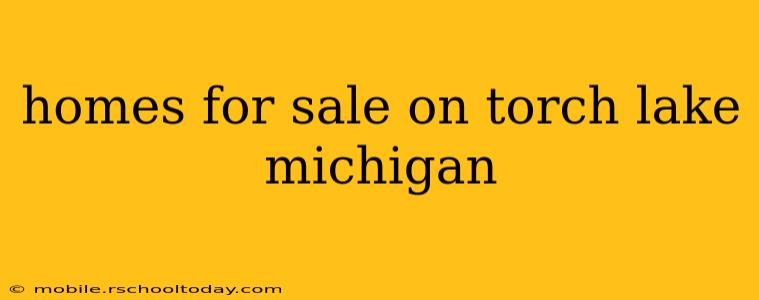 homes for sale on torch lake michigan