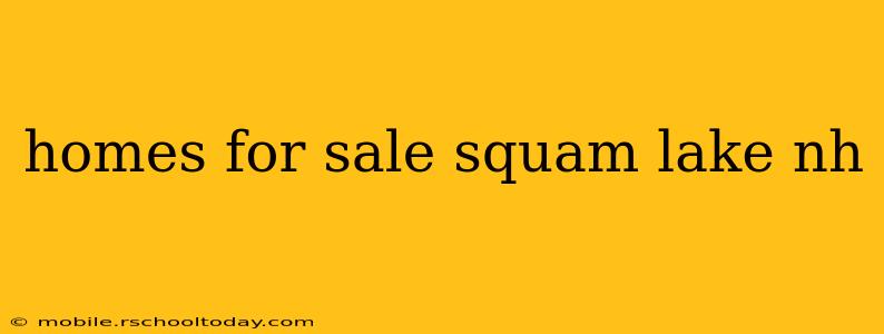 homes for sale squam lake nh