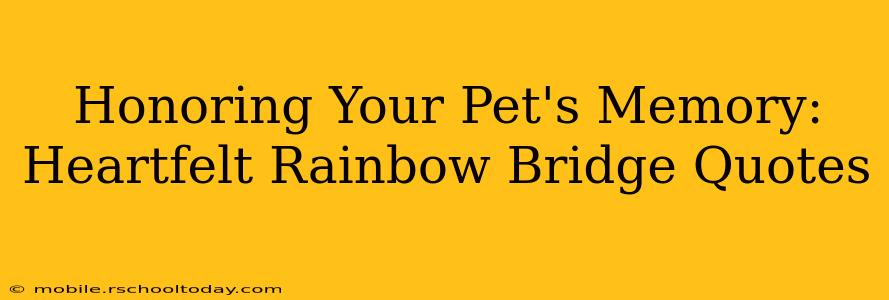 Honoring Your Pet's Memory: Heartfelt Rainbow Bridge Quotes