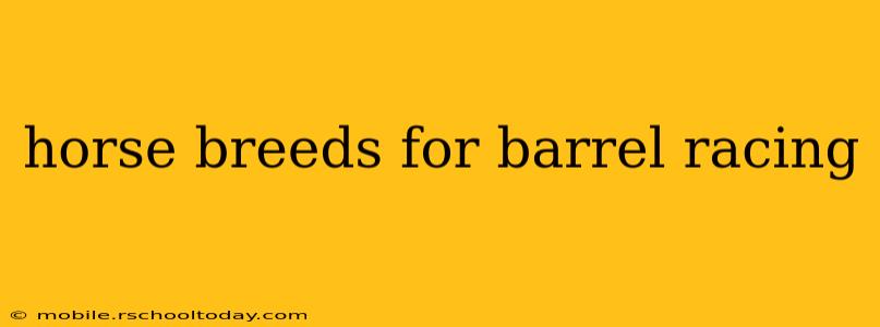 horse breeds for barrel racing