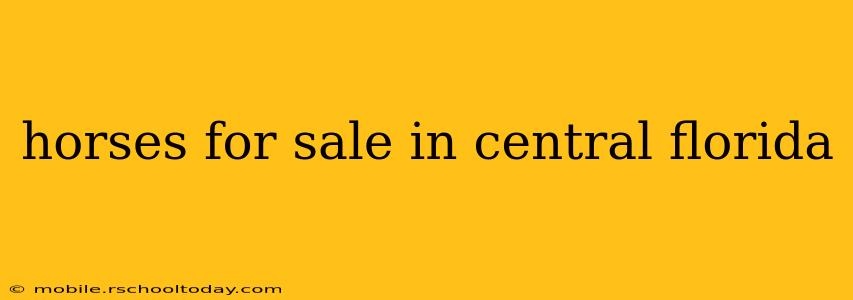 horses for sale in central florida