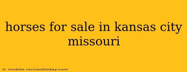 horses for sale in kansas city missouri