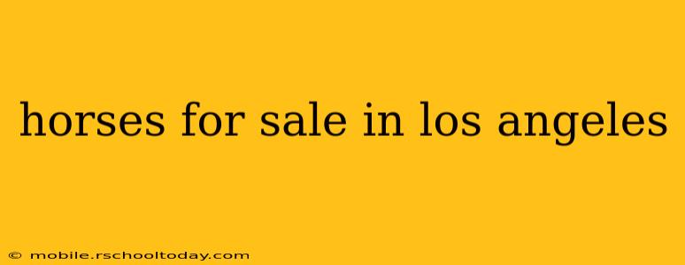 horses for sale in los angeles