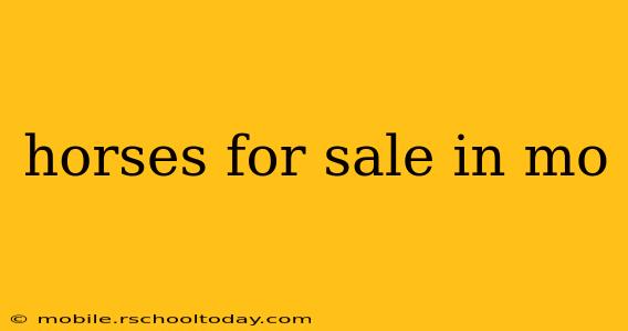 horses for sale in mo